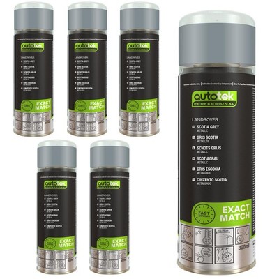 Autotek Ver Scotia Grey 300 ml exakte Farbabstimmung schnelltrocknend Profi x6
