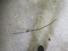 <!--F#f_0-->Holden Kingswood Monaro HQ HJ HX HZ WB handbrake cable suit repair resto parts<!--F/-->