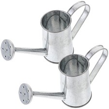 Pots d'arrosage en fer simples, 2 pièces, arrosoir pour plantes