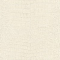 Rasch Vliestapete African Queen 3 Krokodilleder 751321