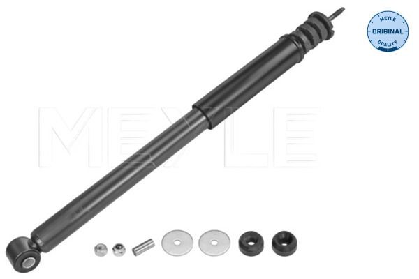 StoßDäMpfer Hinterachse FüR Renault Dacia Logan I Logan/Stepway Ii-image