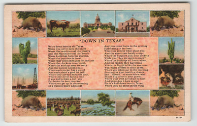 Postcard Down In Texas Poem Multiple Wildlife Views