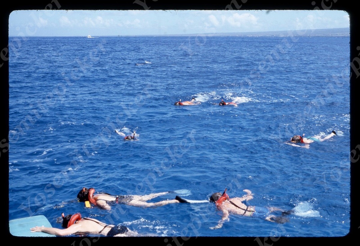 SL99 Original Slide 1980 Hawaii beach swimmers 003a | eBay