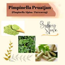 PPOWDER Pimpinella Alpina Purwoceng Pimpinella Pruatjan Organic