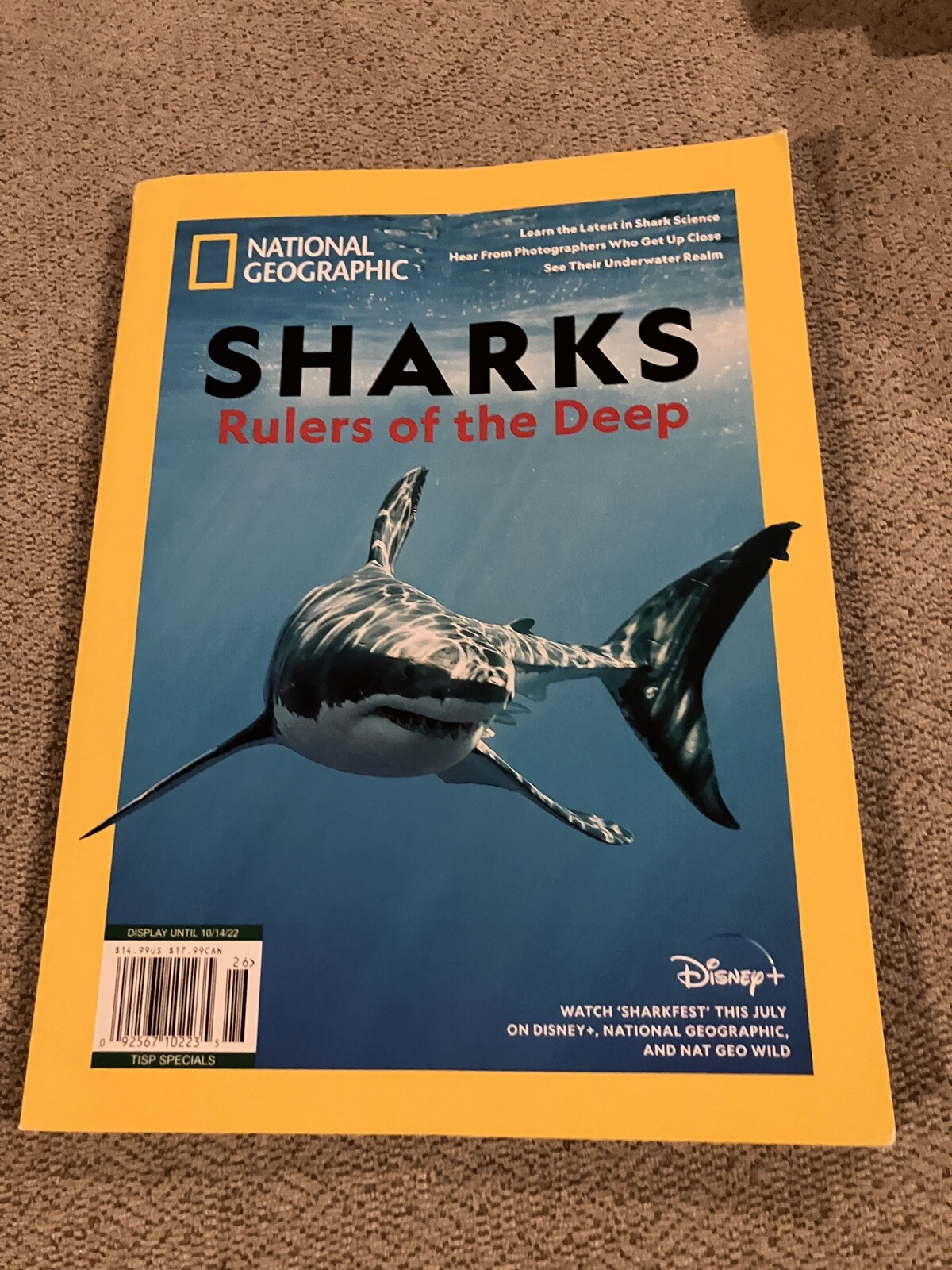 National Geographic Special Publication SHARKS Rulers of the Deep | eBay