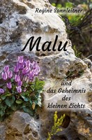 Malu Und Das Geheimnis Des Kleinen Lichts Regine Sonnleitner Taschenbuch 236 S.