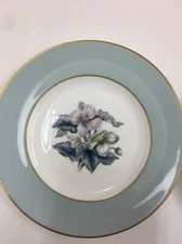 Royal Worcester Fine Bone China Pair Of Small Side Dish Plates A559