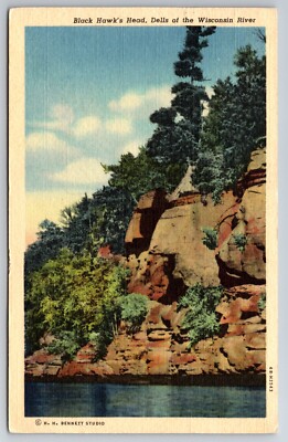 Black Hawks Head Dells Of The Wisconsin River Wisconsin WI Landmark Postcard