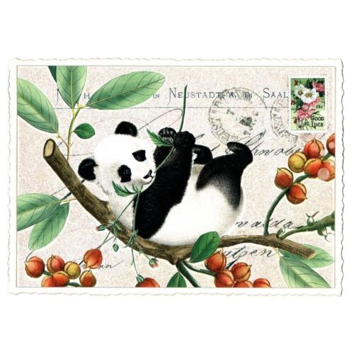Edition Tausendschön | Postkarte A6 | Flora & Fauna | Motiv wählbar - Bild 34 von 78