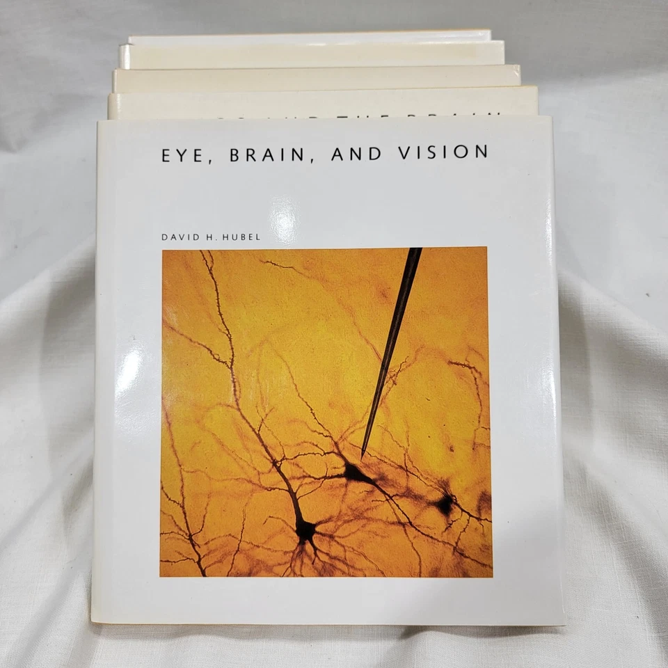 Scientific American Library Book Series Set of Five for Homeschool Reference - Image 3 of 4