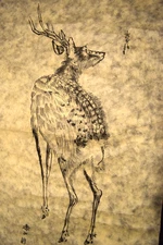 Hanging Scroll Japanese Art kakejiku washi paper sika deer with writing - READ