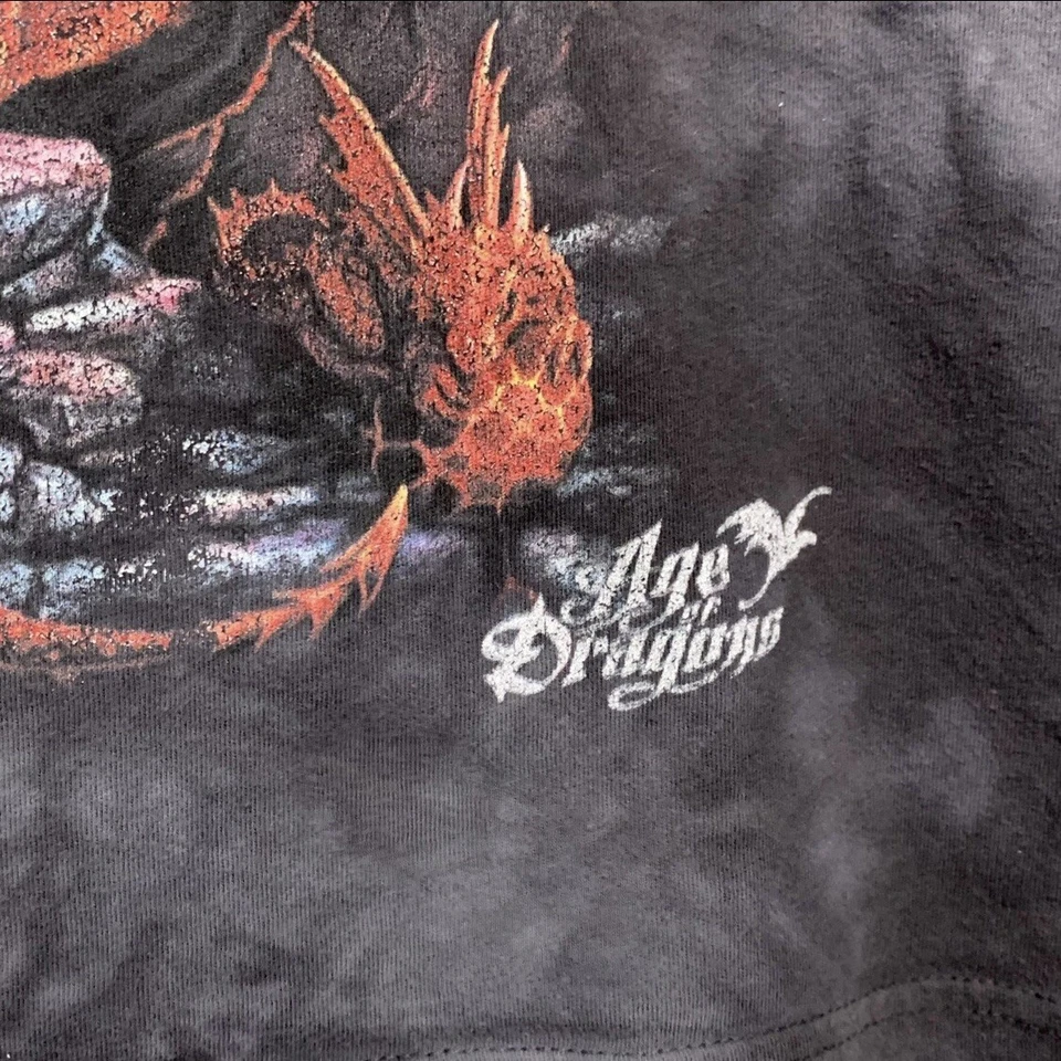 Camiseta The Mountain Age of Dragons Gris Tie Dye Juvenil Talla Grande Y2K Foto 4 de 4