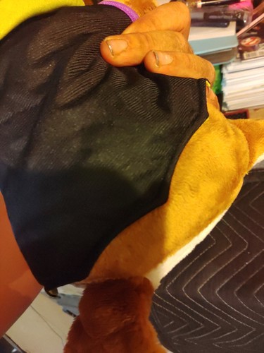 Buc-ees Plush Mascot Great Condition - Picture 7 of 7