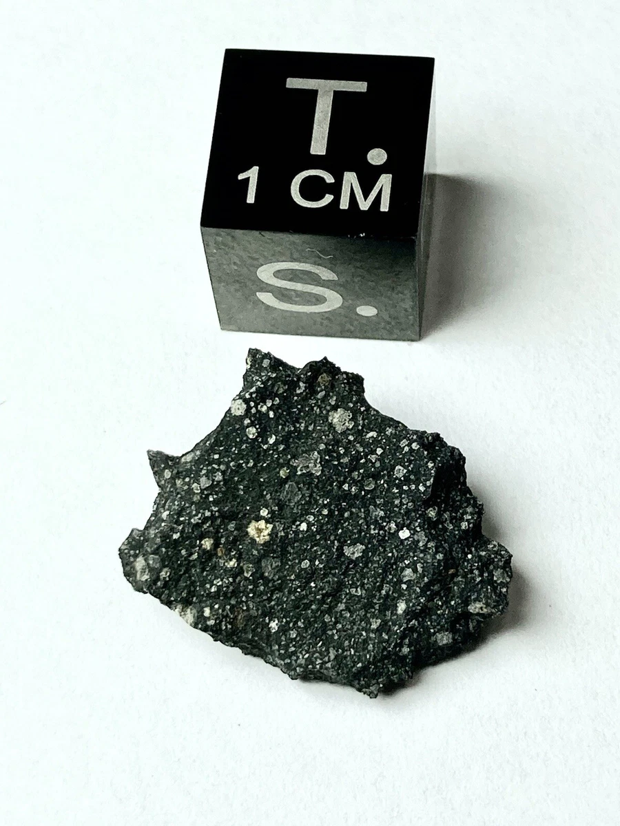 UltraRare Murchison Meteorite With Crust | eBay