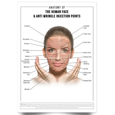 Anti Falten Gesicht Anatomie Poster Detailliert Hautpflege Kosmetik Poster A5-A1