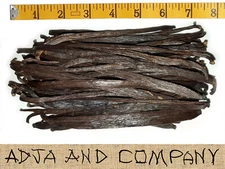 FRESH! 30 MADAGASCAR GOURMET VANILLA BEANS! GRADE 'A' QUALITY! + COFFEE SAMPLES!