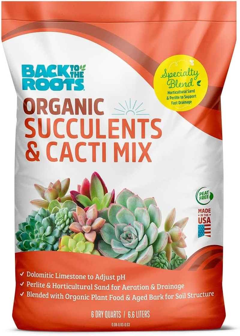 Back to the Roots 100% Organic Succulent & Cacti Mix (6 Quart) | Made in  the USA | eBay