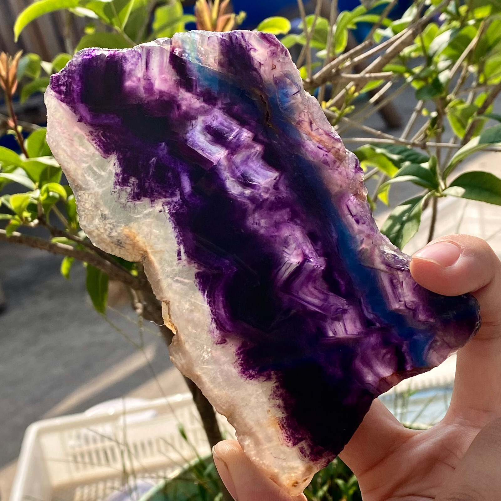 246G Natural Fluorite Quartz Crystal Slab Mineral Specimen
