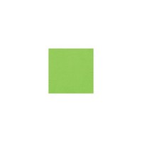 Uni Servietten HellgrüN Fresh Green 33 X 33 Cm 3-Lagig 20 Servietten Pro Packung