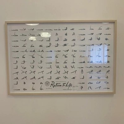 Pilates Return to Life Poster
