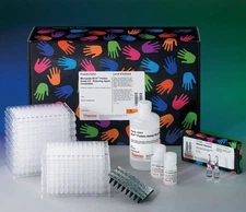PIERCE Microplate BCA Protein Assay Reagent Kit Reducing Agent Compatible 23252