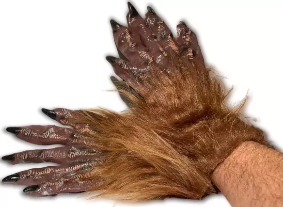 Brown on sale furry gloves