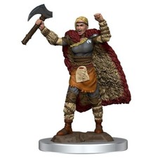 Female Human Barbarian Premium D D Miniature Dungeons Dragons ranger fighter W7