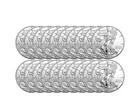 1 oz American Silver Eagle Coin - Random Year - Tube of 20 Is