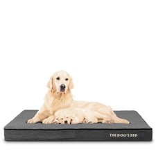 Dogs Bed Orthopedic Memory Foam Dog Bed, Waterproof XL 4 Inch Thick 2-GREY-XL4
