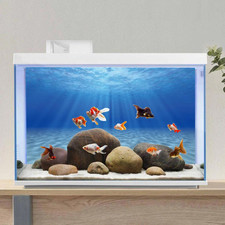 Undersea Theme Aquarium Background Sunshine Underwater World Fish Tank Backgroun