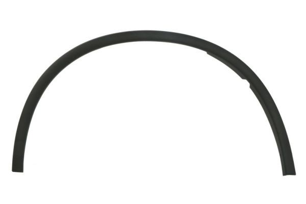 Right Front BLIC 5703-08-0926372P Trim/Protection Strip, wing for DODGE