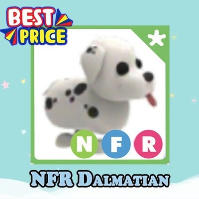 NFR Dalmatian - Adopt right now