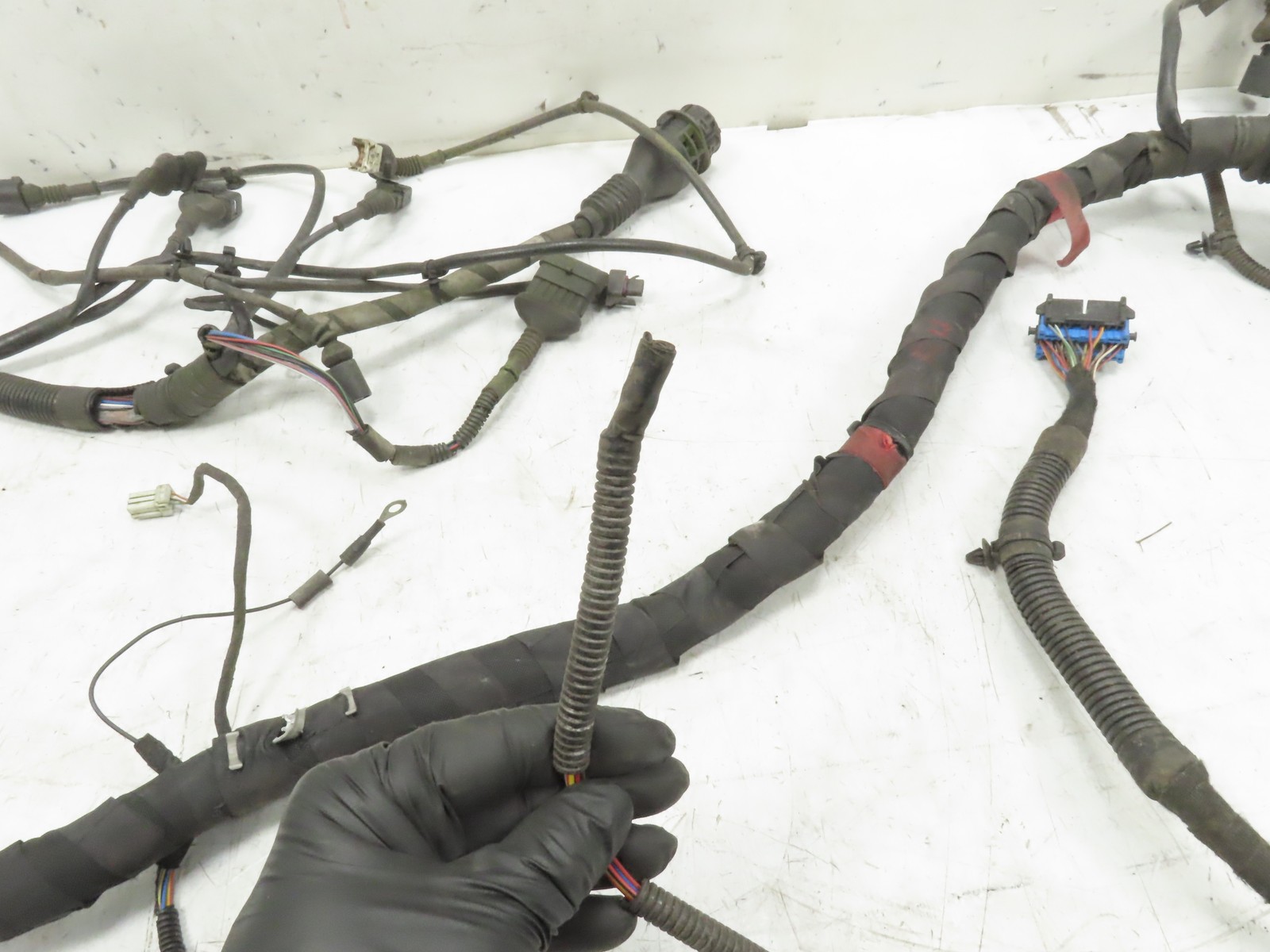 Lamborghini Gallardo 2004 Control unit wiring harness