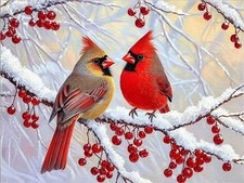Cardinal Diamond Art Kits for Adults,Round Full Drill 5D Diamond Painting Kits f