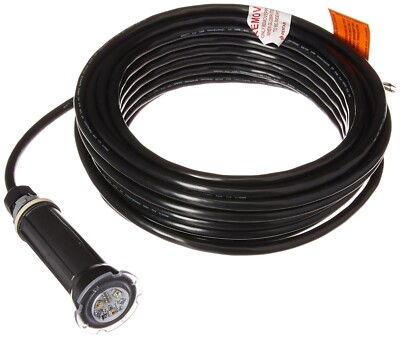 (NEW VERSION) Pentair Globrite Light 602055 Color 100ft