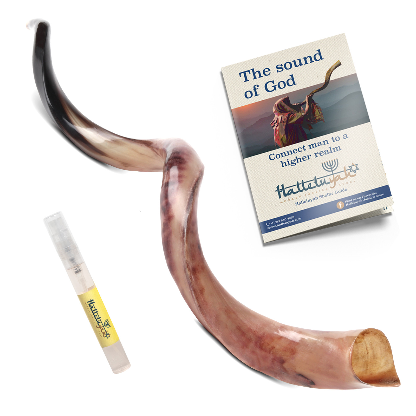 HalleluYAH Original Fully-Polished Kudu Shofar From Israel with Anti-Odor spray