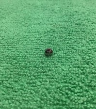 Genuine TAG HEUER S/S Crown 4.5mm T.90, CAV-5616, 105504, S-1399 NOS