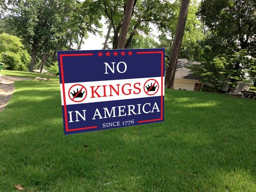 No Kings Yard Schild - Politisches Protestschild | Antityrranie 24x18 mit Pfahl - Bild 2 von 5
