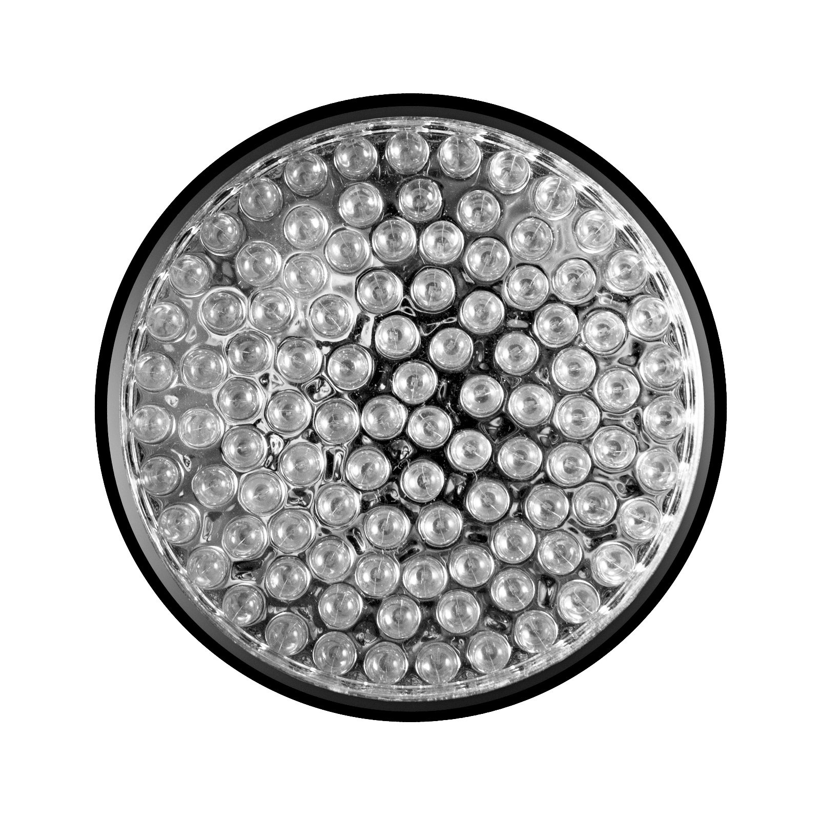 KOBRA UV Black Light Flashlight 100 LED 1 Best UV Light and Blacklight