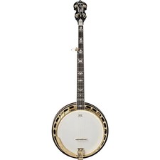 Washburn Sunburst 5-String Banjo