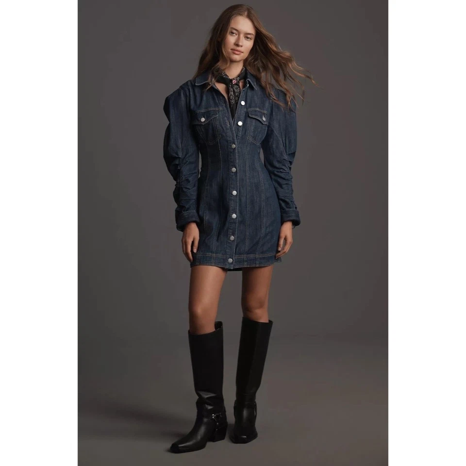 ¡NUEVO CON ETIQUETAS! Mini Vestido Anthropologie PILCRO Manga Larga Botón Delantero Costura Denim Pequeño Foto 4 de 4