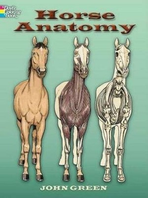 horse anatomy coloring book dover pictorial archive