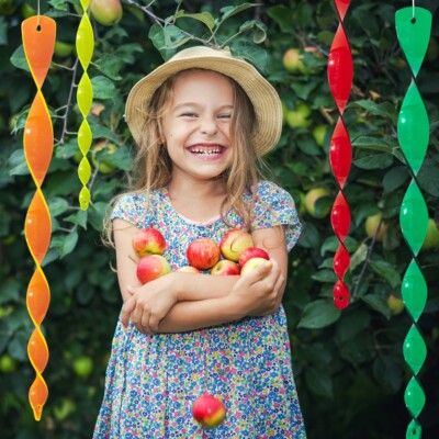 CIM Plastic Bird Wind Chime - 29cm Silver 4 Pirouette - Wind - Foto 6