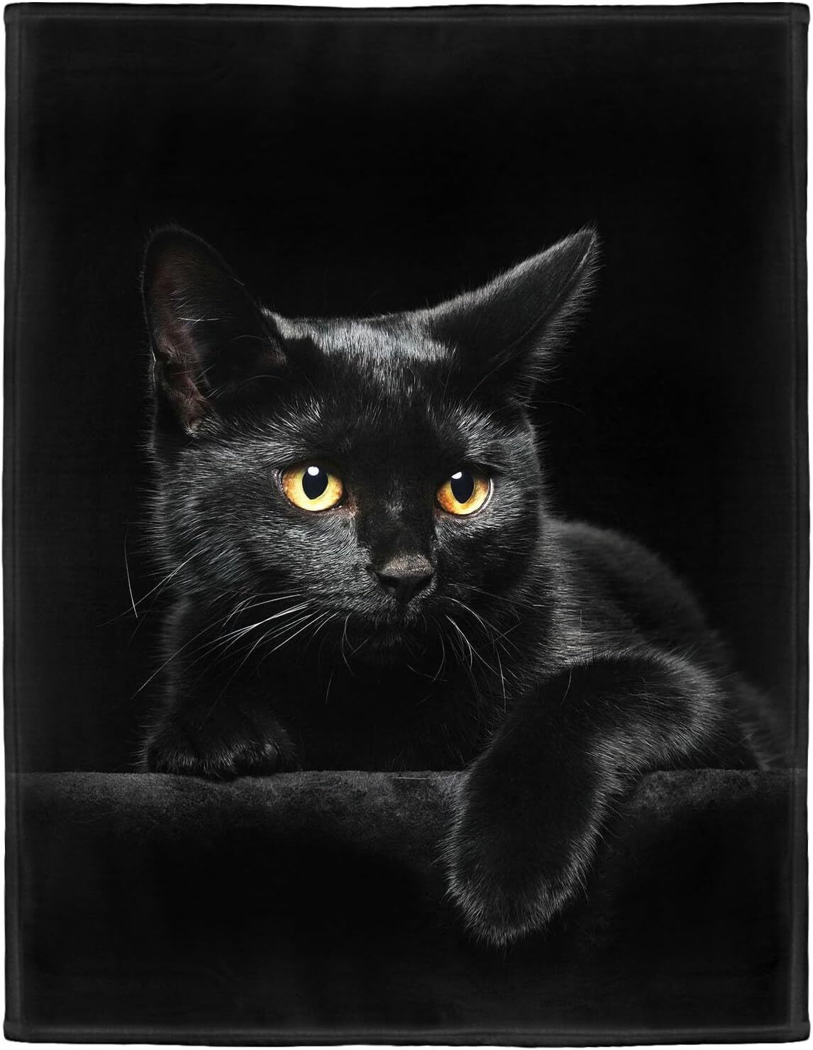 Foto 1 di 6