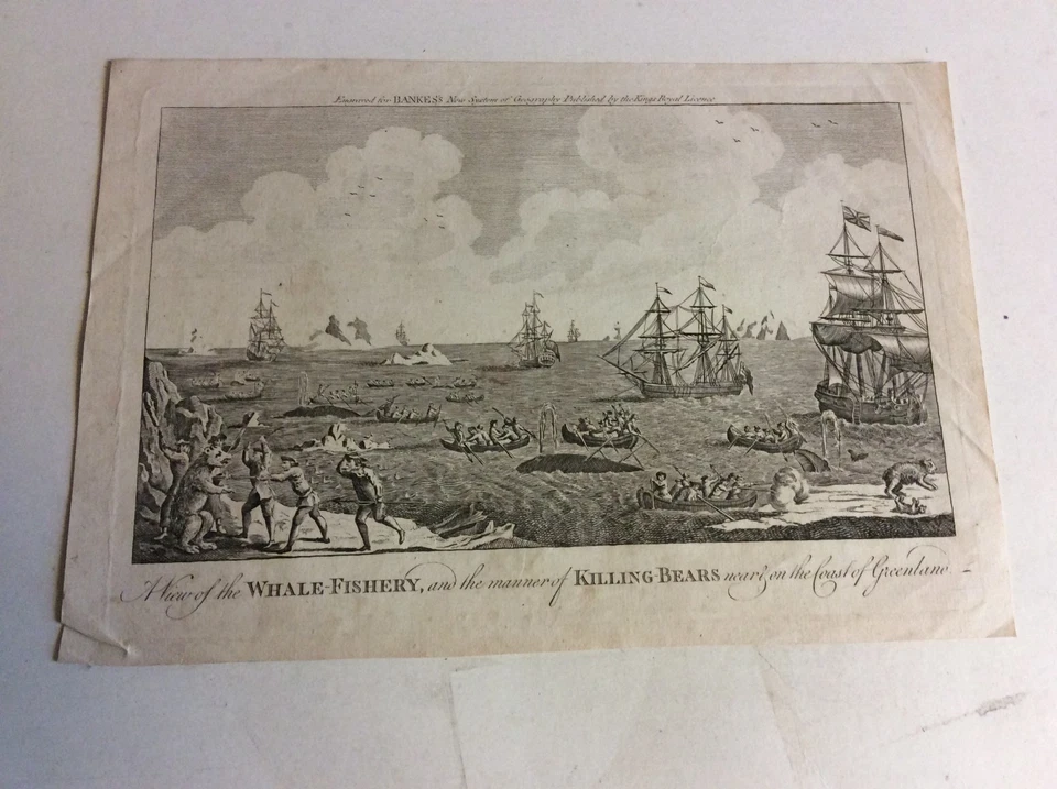 "A View of the WHALE-FISHERY" Kupferstich etwa 1790   mlnr - Bild 1 von 2
