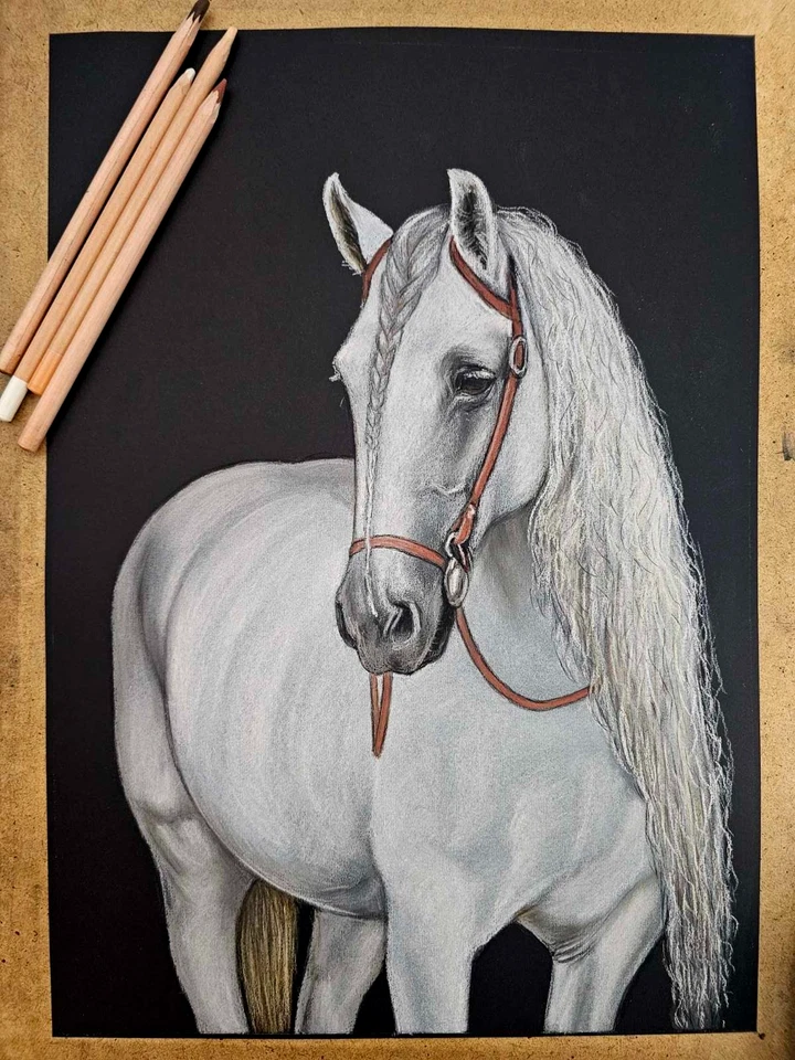Retrato de caballo dibujo pastel A3 arte espíritu equino realista semental blanco Foto 4 de 4