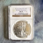 U.S. Mint American Eagle 2013(W) Silver 1 oz MS 70 NGC Business Strike Coin