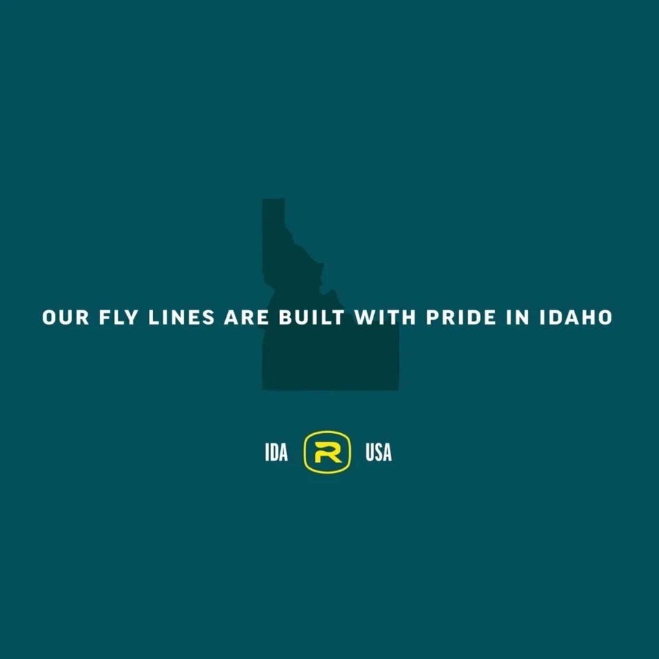 Línea de mosca de hundimiento completo Rio Mainstream tipo 6 color negro tamaño WF5S - tipo 6 Foto 3 de 4