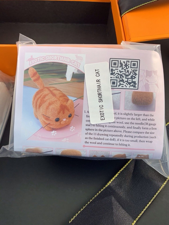 Beginner DIY Wool Needle Felting Kit Felted Animal Puppy Pug Dog Cat