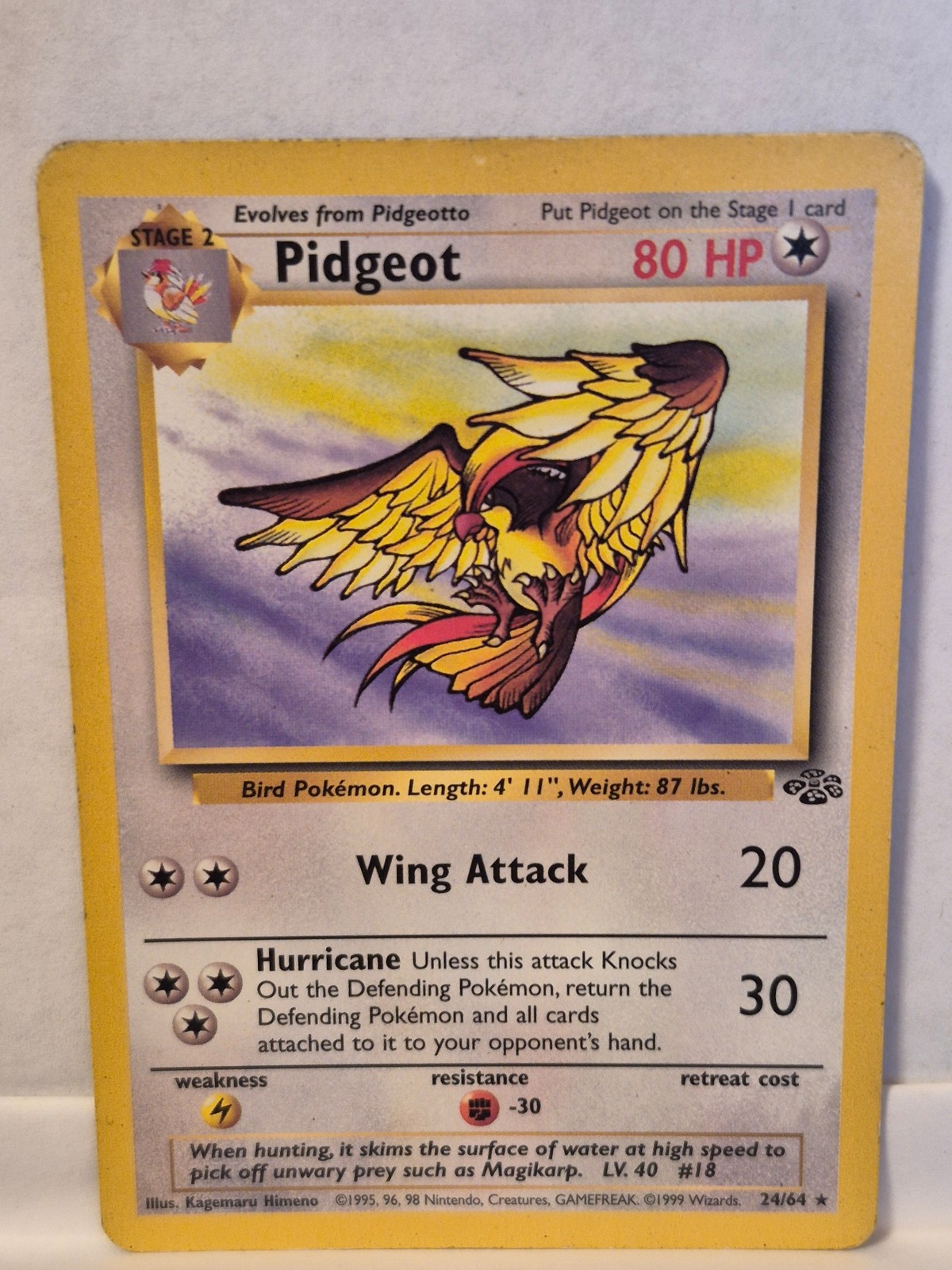 Jungle #24/64 Pidgeot (24) Rare Pokemon